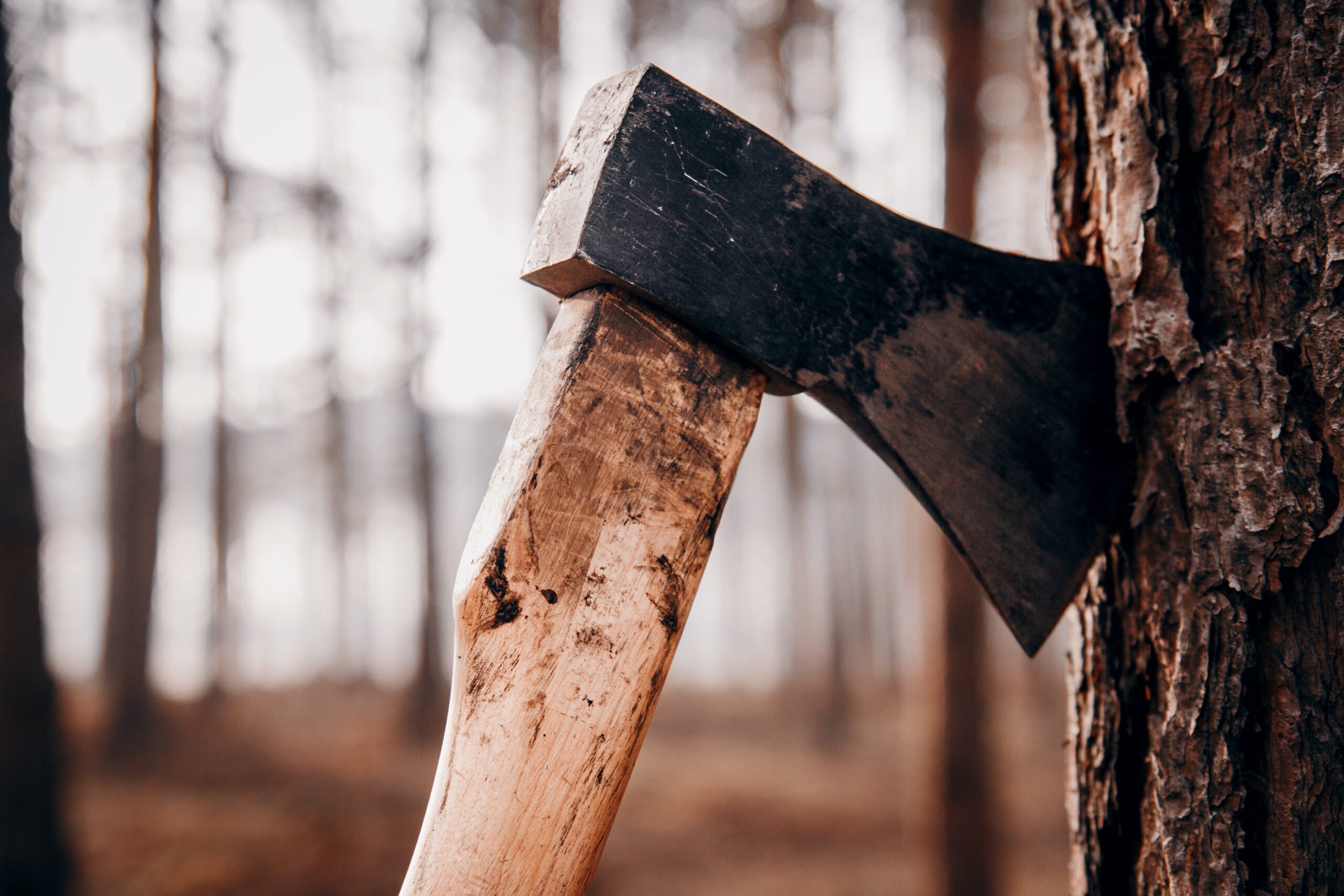 axe-throwing business insurance